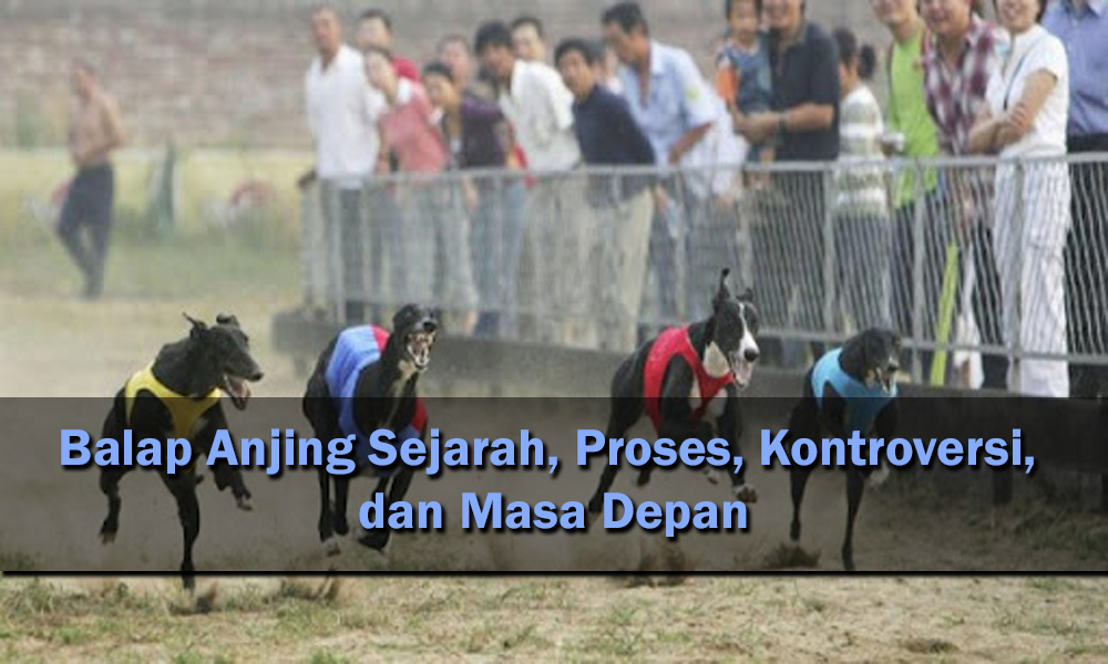 Balap Anjing Sejarah, Proses, Kontroversi, dan Masa Depan